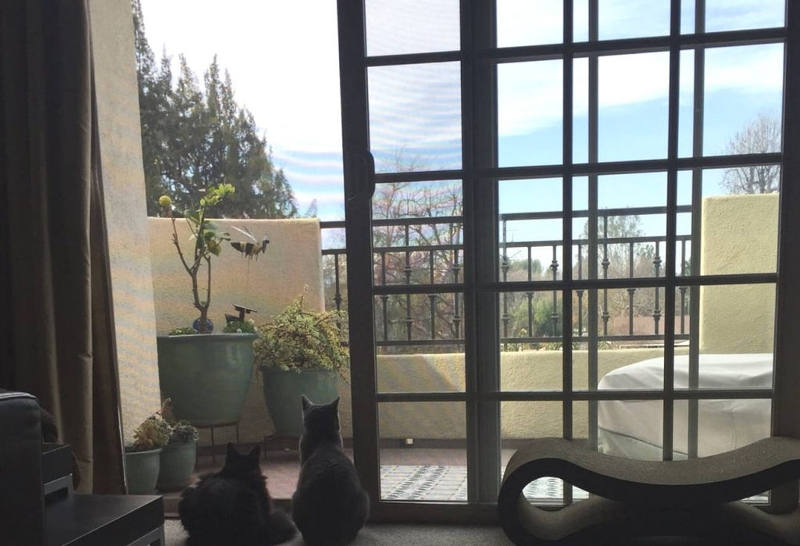 pet screen door installation